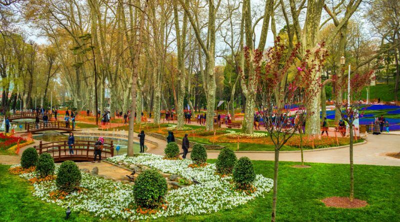 Unveiling the Beauty of Istanbul's Parks and Nature Trips